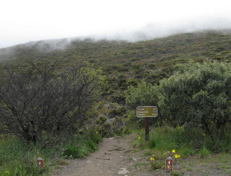 Trails in the Haleakala National Park
