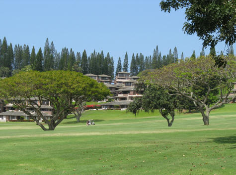 Golf Courses on the Island of Maui in Hawaii