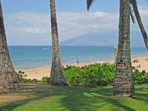 Vacation Packages to Maui