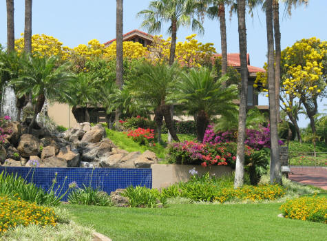 Wailea Hotels and Resorts, Maui Hawaii