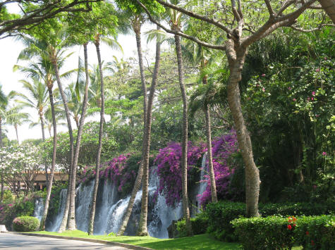 Waterfall at the Grand Wailea Resort in Maui