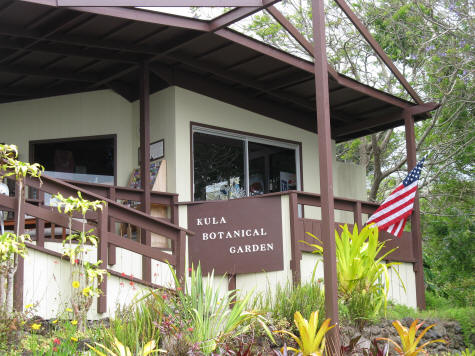 Kula Botanical Gardens in Maui Hawaii